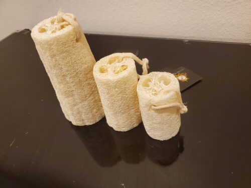 Harvesting Al Loofah: Tips and Tricks